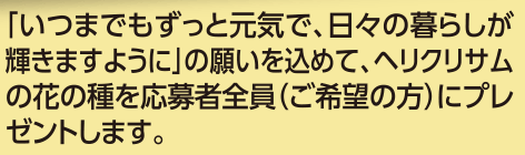 「いつまでもずっと元気で、日々の暮らしが輝きますように」の願いを込めて、ヘリクリサムの花の種を応募者全員（ご希望の方）にプレゼントします。