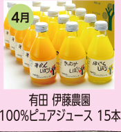 4月 有田 伊藤農園100％ピュアジュース 15本