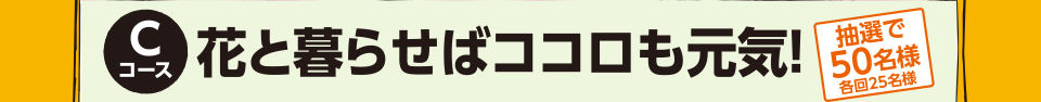 Cコース 花と暮らせばココロも元気！抽選で50名様 各回25名様