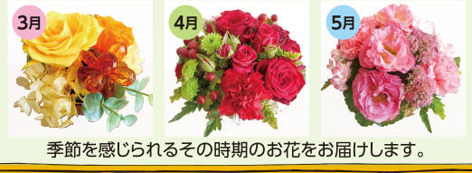 3月4月5月、季節を感じられるその時期のお花をお届けします。