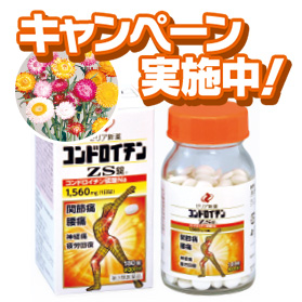 【新品】サキナ コンドロイチン 2袋 サキナ コンドロイチン｜インナーケア｜フヨウサキナ