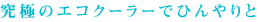 ɂ̃GRN[[łЂ