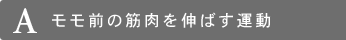 A モモ前の筋肉を伸ばす運動